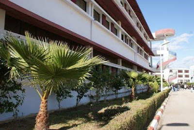 university