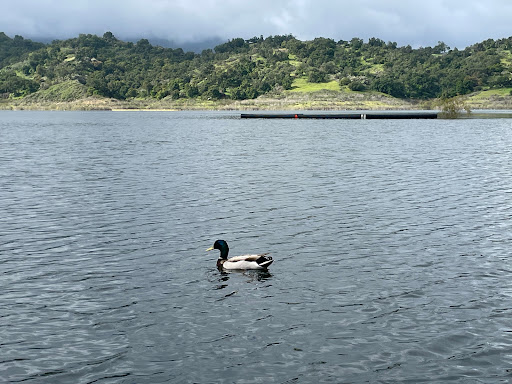 Lake Casitas Boat Rentals - Thumbnail