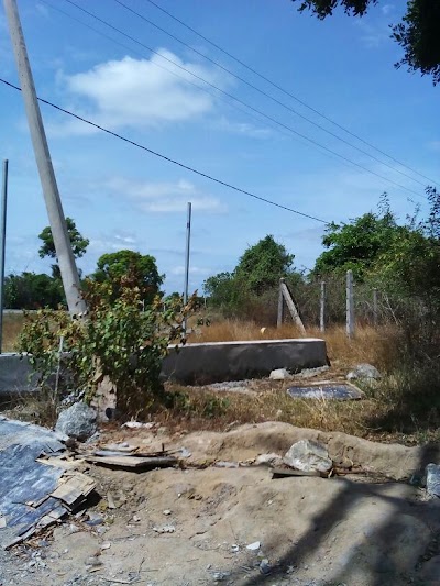 Photos of Coop City