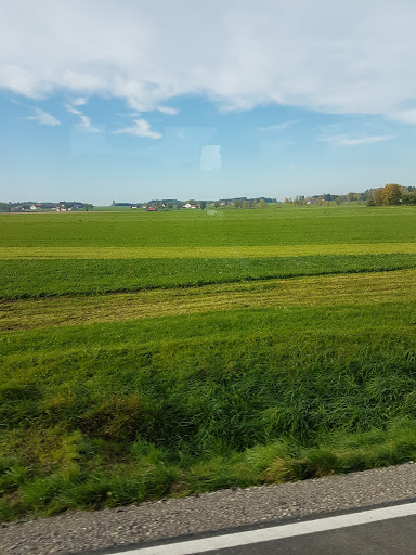 Heckelsmueller - Visual