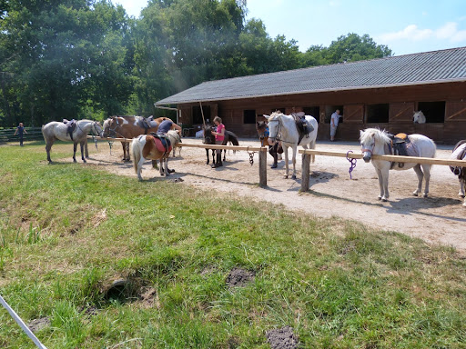 Equestrian Center Du Vieux Château