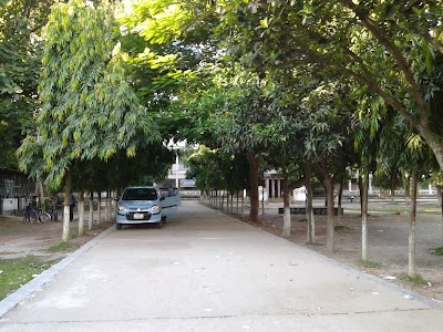 university