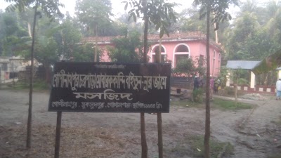 Photos of চর পারা জামে মসজিদ