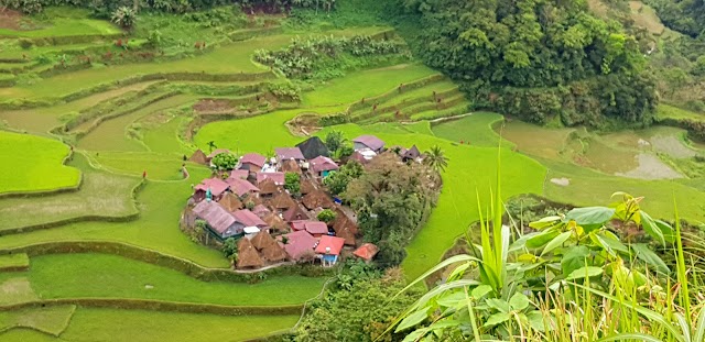 Place around image