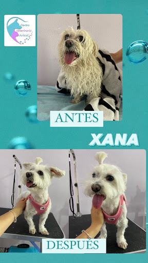 Centro Veterinario Ariscal