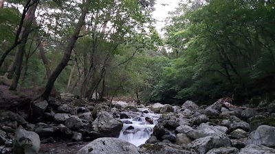 Photos of 치악산대곡야영장