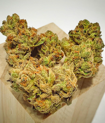 Photo of KURE Dispensary Downtown