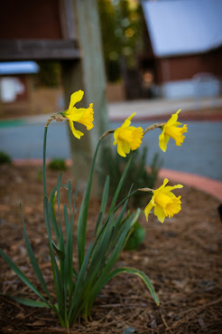 Inn Town Campground by null