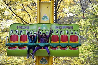 Forest Park Carousel Amusement Village