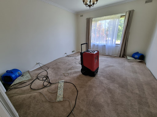 Jena's Carpet Cleaning
