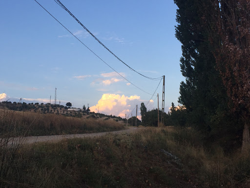 Balsón de las Ranas - Thumbnail
