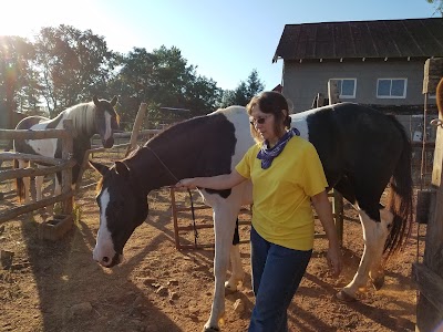 Dark Horse Horsemanship & Hearts in Harmony