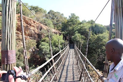 Photos of Bush Babies Monkey Sanctuary