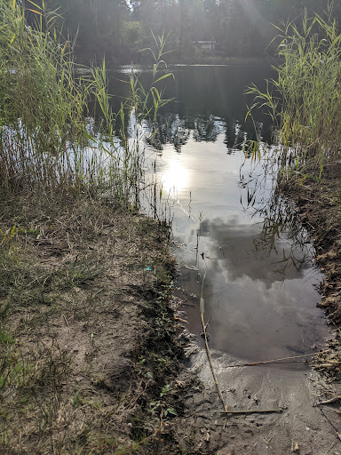 Waldsee - Visual
