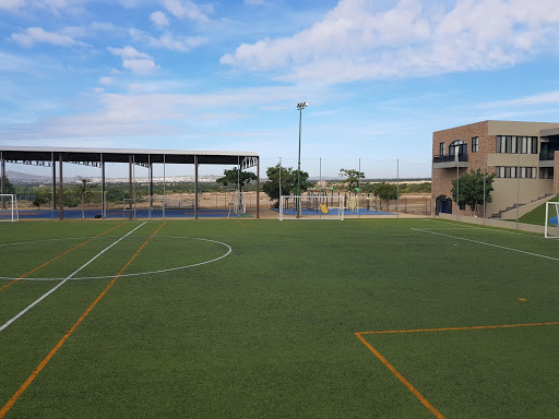 Delmar International School - Thumbnail