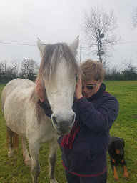 Photo n°3 de RANCH DE RÉ&MI à Saint-Denis-le-Vêtu (Centre équestre)
