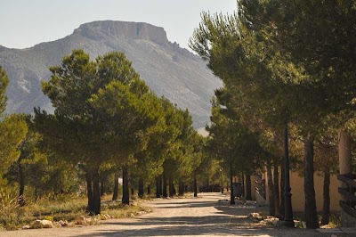 Photos of Camping Pinar del Rey