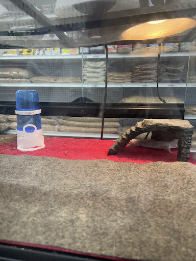 Gomez Pet Shop - Thumbnail