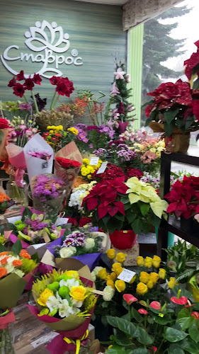 Opinii despre Ателие за Цветя Ставрос în Самоков - Цветарница