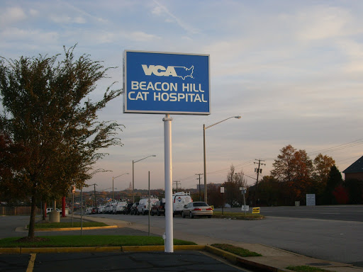 VCA Beacon Hill Cat Hospital Gallery - United States