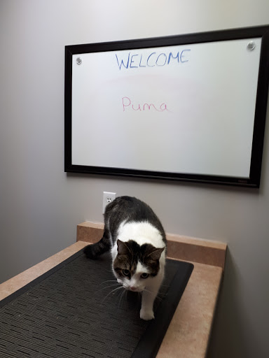 Main West Animal Hospital Gallery - United States