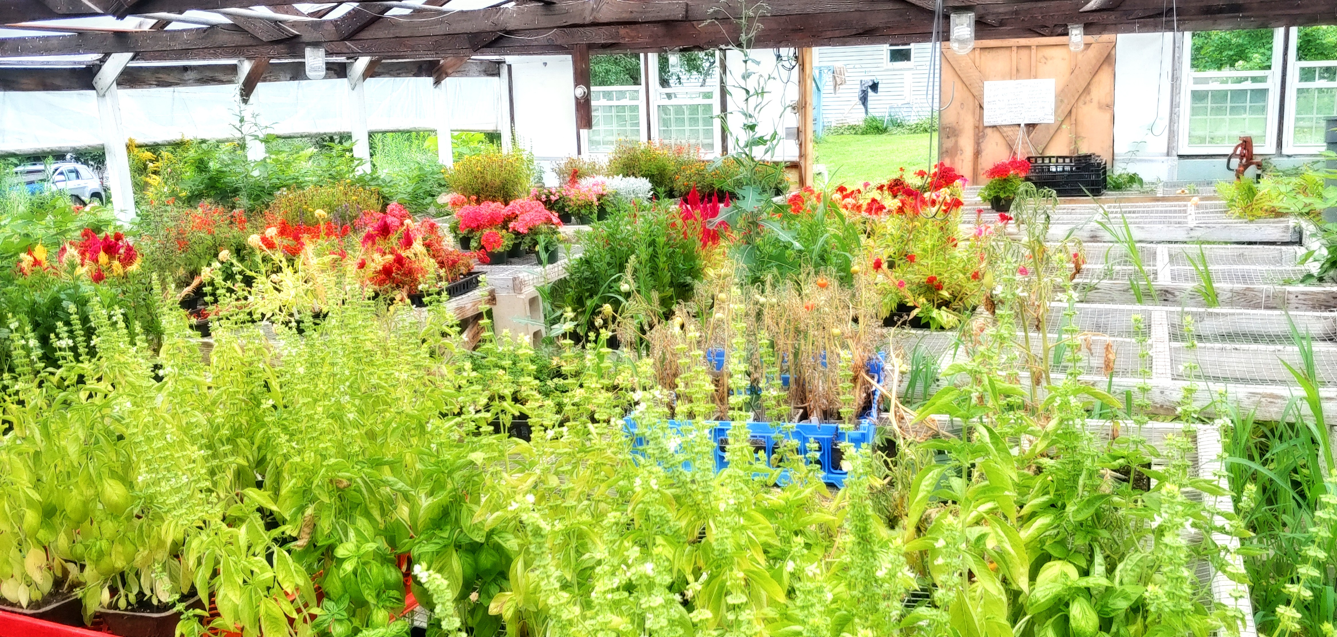 Breezy Acres Farm