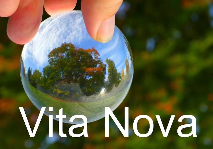 Vita Nova Salon voor Skin en Bodycare photo