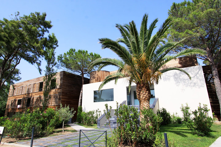 Hôtel Moby Dick by null