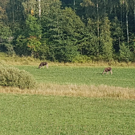 Sörmlandsleden, etapp 5:2 - Thumbnail