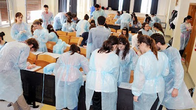 university