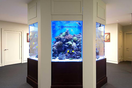 Waikiki Aquarium Service - Thumbnail