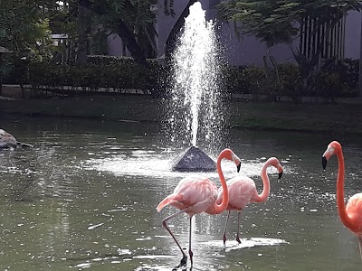 photo of Bavaro Adventure Park