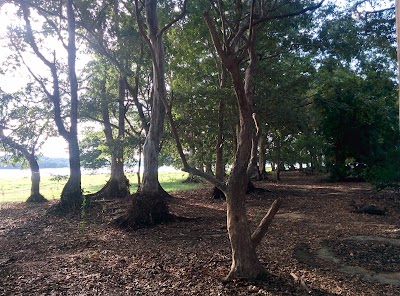 Photos of Padupola