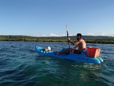 Photos of WATER network JAMAICA