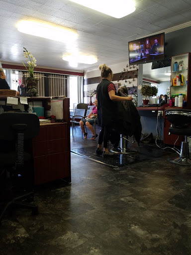 Hollywood Hair & Beauty Supplies
