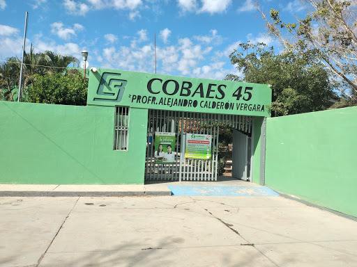 COBAES 45. - Visual