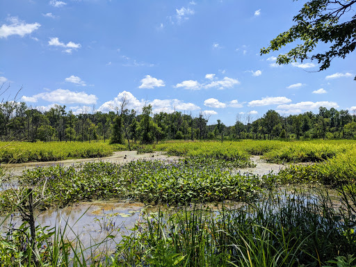 Indiana Dunes National Park Great Marsh Trail - Thumbnail