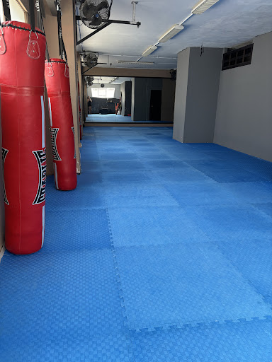 Escuela de Taekwondo Arirang