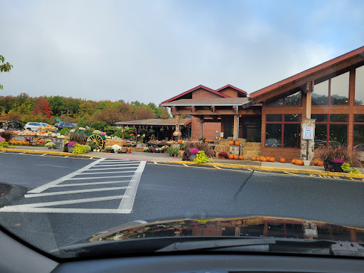 Road Trip Food Company Gallery - United States