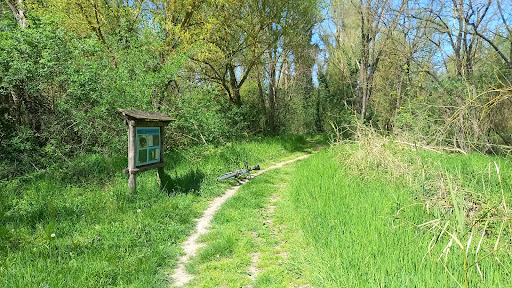 Stazione 1 , Il bosco golenale e il pendolino