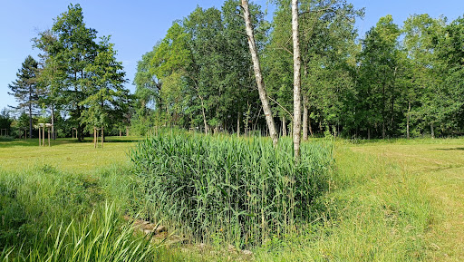 Parc Les Rives du Danube - Thumbnail