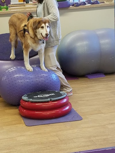 Wizard of Paws Physical Rehab