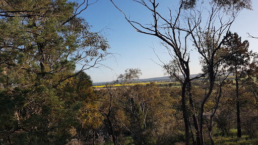 Jacks Creek picnic area - Thumbnail