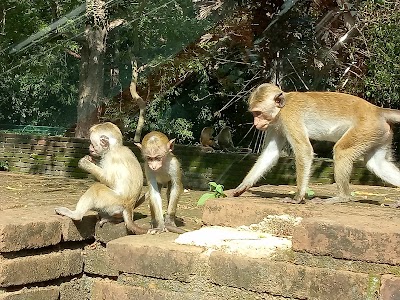 Photos of Lankatilaka Viharaya