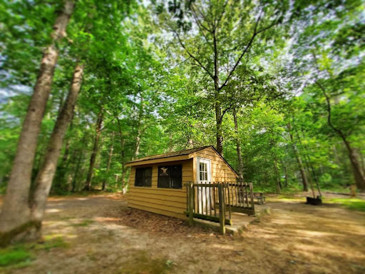 Belleplain State Forest Gallery - United States