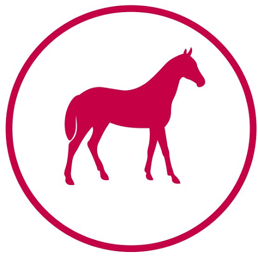 Blackdown Equine Practice - Visual