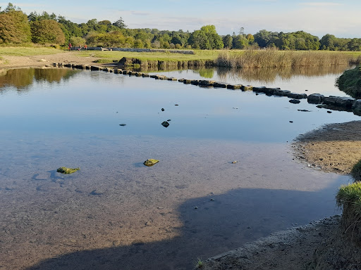 The Stepping Stones