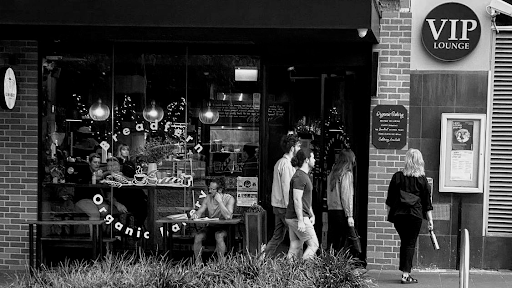 Photo of Little Fern on Regent