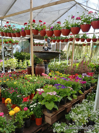 Vivero Paso Del Rey - Foto 1