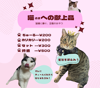 譲渡型保護猫カフェ にゃんこカフェ